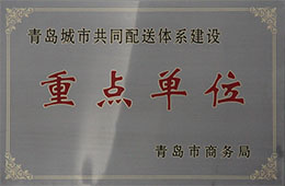 青島市商務局頒發(fā)“青島城市共同配送體系建設重點單位”